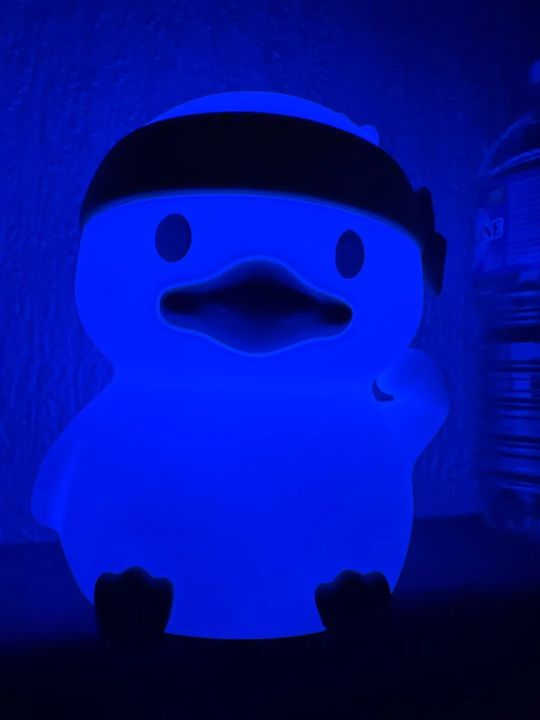 Customer photo: a duck-shaped silicone night light glowing blue in the dark
