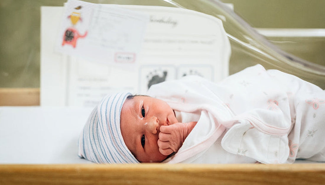 Life with a newborn